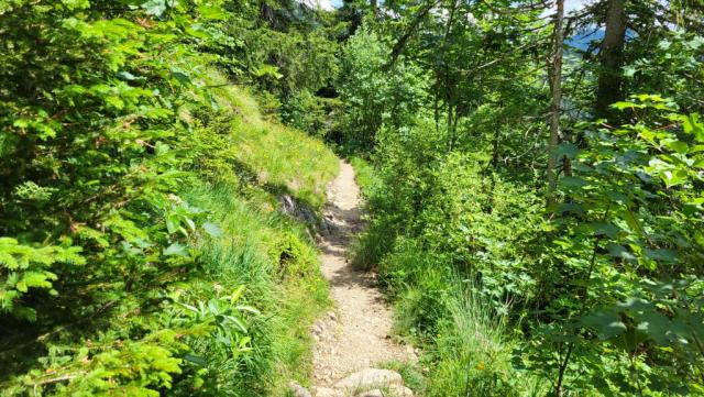 wir verlassen die Staffelalm und wandern südlich um den Rabenkopf