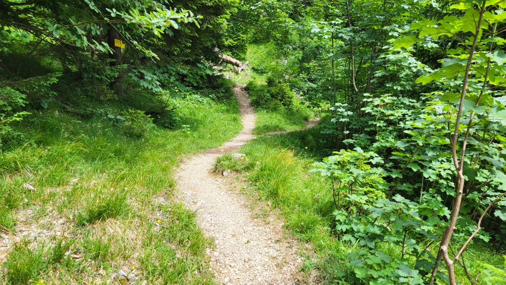 kurz nach der Klein Hütte biegt unser Wanderweg links weg