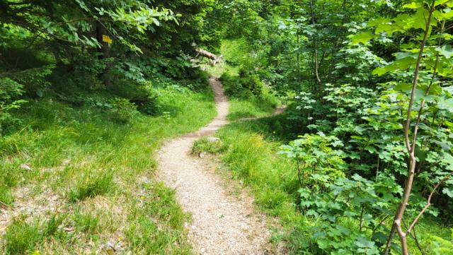 kurz nach der Klein Hütte biegt unser Wanderweg links weg