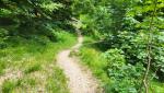 kurz nach der Klein Hütte biegt unser Wanderweg links weg