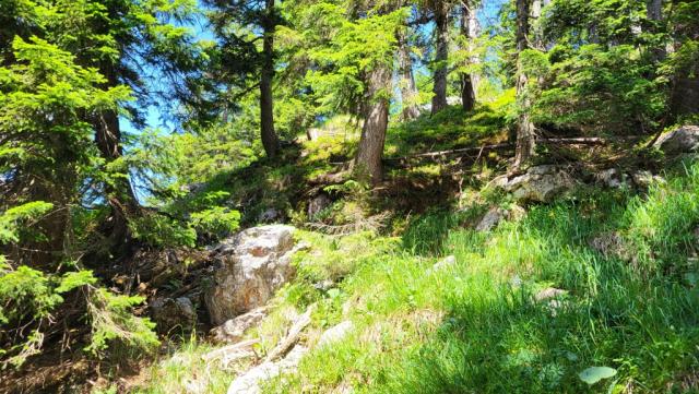 der Bergpfad wird aber auch immer steiler