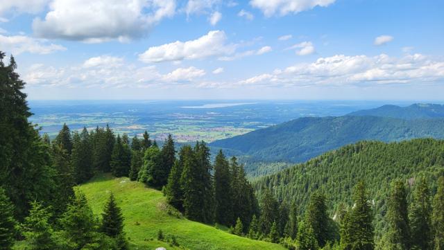 die Sicht reicht nun bis zum Starnberger See. Viele Prominente besitzen dort ihre Sommerresidenzen