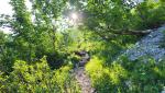 von der Hütte aus steigt der Wanderweg zunächst sanft Richtung Wandfuss an