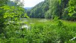 ...und erreichen den idyllisch und schattig gelegenen Hohenburger Weiher