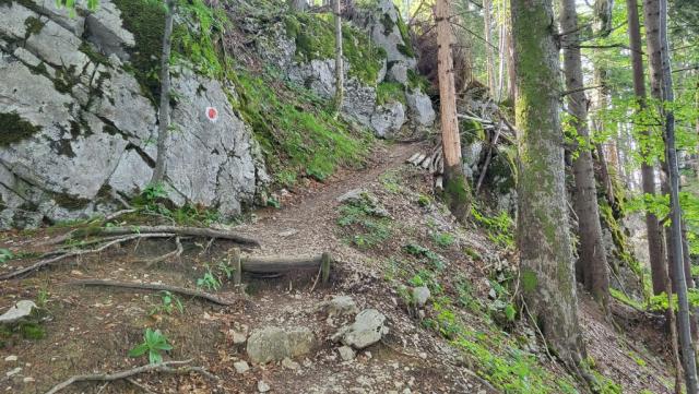 ...führt uns hinauf zur der Felsbarriere des Markeck...