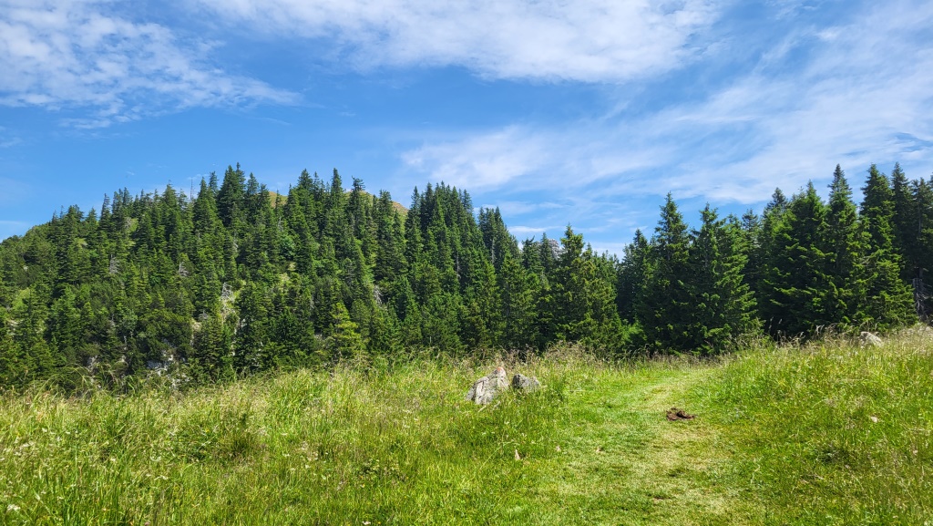 hinter diesem bewaldeten Buckel, versteckt sich der Fockenstein