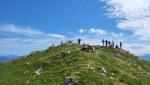 ...taucht der flache Gipfel des Fockenstein vor uns auf. Auf diesem bekannten Aussichtberg ist man nie alleine