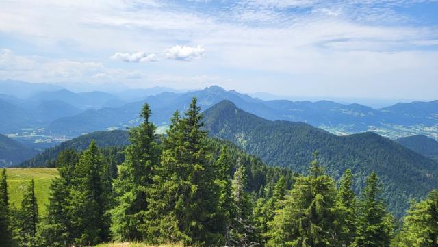 hinter den Tannen erkennen wir den Geierstein und weiter hinten der Brauneck