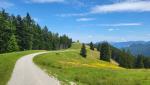 wir folgen eine Kiesstrasse die neben der Baumgartenalm uns zur...