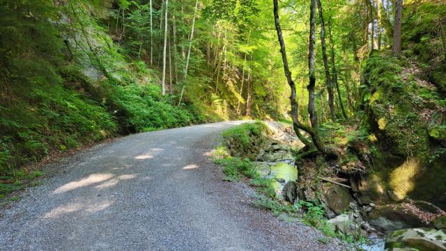 entlang am Zeiselbach verlieren wir gemütlich an Höhe