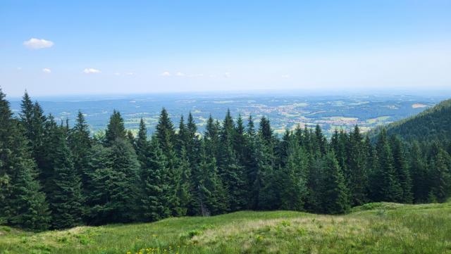 zwischendurch gibt es traumhafte Ausblicke in die Ebene