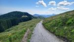 auf der Gindelalm 1285 m.ü.M. haben wir den höchsten Punkt der heutigen Wanderung erreicht