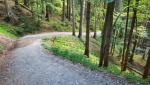 auf einer Kiesstrasse wo auch viele Biker unterwegs sind...