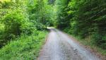 über Kiesstrassen geht es nun hinunter ins Tal der Leitzach