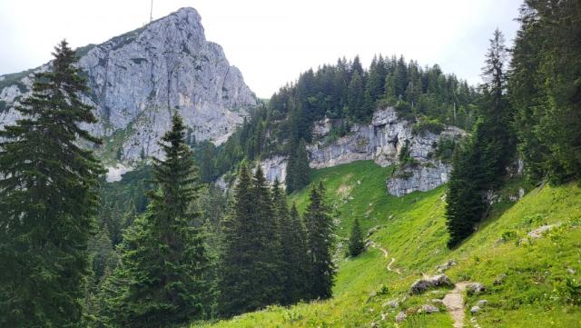 ab jetzt wandern wir auf einem steinigen, schmalen und steilen Bergpfad