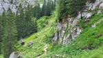 wir durchqueren die unbewirtschaftete Elbach-Alm. Ab hier ist fertig lustig