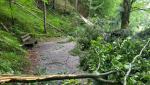 vor ein paar Tagen wütete hier ein Sturm. Abgebrochene Äste und Baumstämme erschwehren das wandern