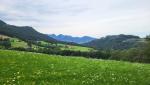 wir lassen die Weiler Schwarzenbach und Ried in Winkl hinter uns, kürzen die grosse Schleife der Strasse ab...