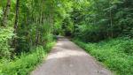 auf dem Weg Richtung Wanderparkplatz Spatenau