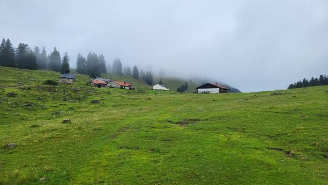 nach einer flacheren und offenen Passage, erreichen wir die Riesen-Alm mit der geschlossenen Riesenhütte