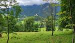 aus dem Waldstück heraus, geniessen wir bereits erste Blicke auf die Burg Hohenaschau