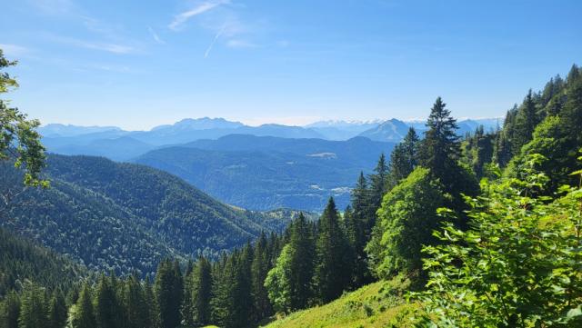 was für eine schöne Aussicht über die Chiemgauer Alpen, zum Kaisergebirge und ins Tirol