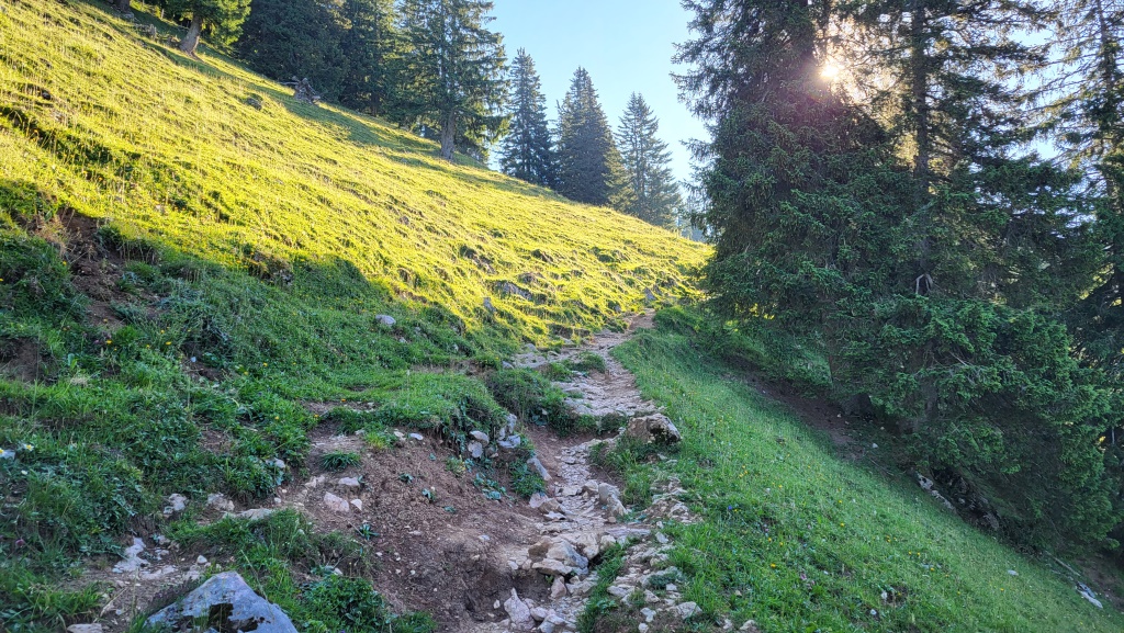 direkt oberhalb des Hochgernhaus startet der schmale, teils steile Bergweg zum Gipfel des Hochgern