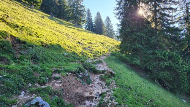 direkt oberhalb des Hochgernhaus startet der schmale, teils steile Bergweg zum Gipfel des Hochgern