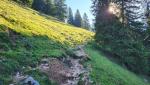 direkt oberhalb des Hochgernhaus startet der schmale, teils steile Bergweg zum Gipfel des Hochgern