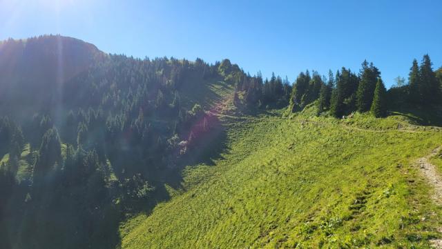 auf ordentlichem Weg geht es über den licht bewaldeten Südhang bergan