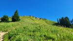 wir blicken hinauf zum Hochgern Gipfel, von wo wir abgestiegen sind