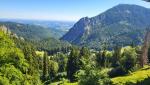 von der Bischofsfellnalm führt uns der Maximilianweg durch lichten Bergwald, weiter abwärts Richtung Hinteralm