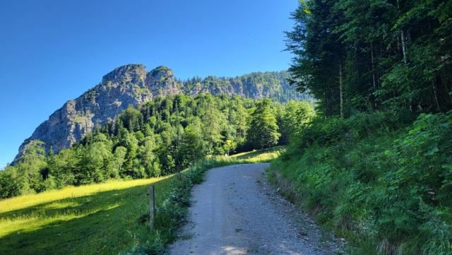 der Maximilianweg verläuft hier identisch mit dem E4 und der Via Alpina