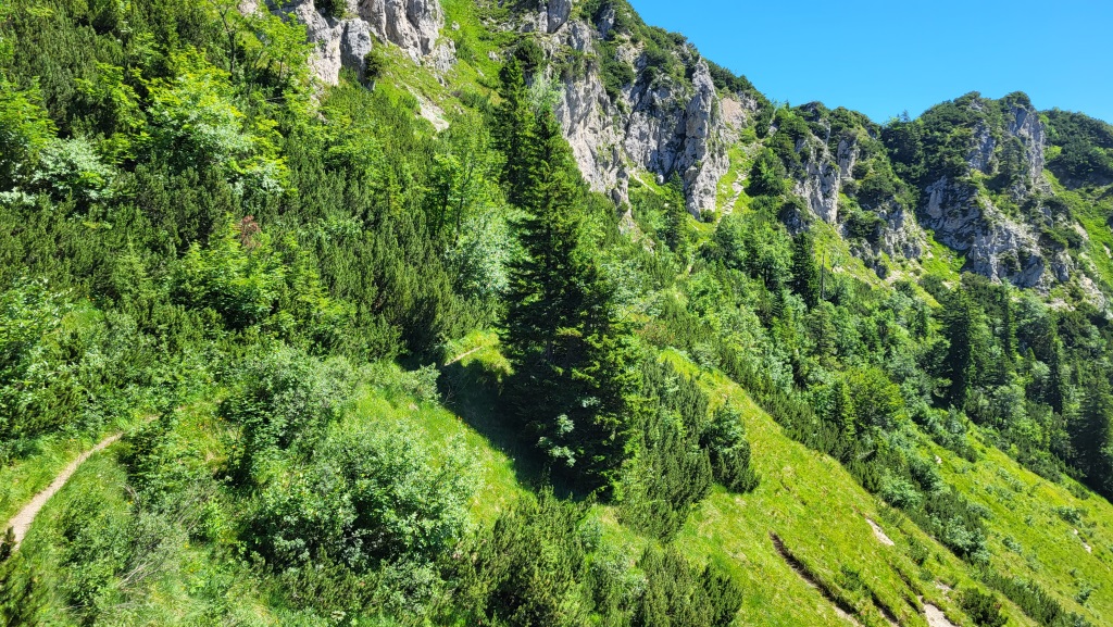 links um den Thoraukopf herum, folgen wir leicht unterhalb auf einem schmalen Pfad, den Verlauf des Grates