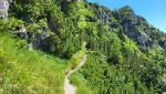 der sehr schöne und wildromantische Bergpfad, führt uns stetig aufwärts Richtung Thorauschneid