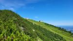 schliesslich wird das Gelände wieder offener und wir befinden uns in der Gipfelregion des Hochfelln