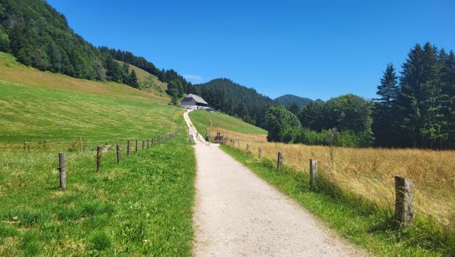 von der Mittelstation wandern wir über eine Kiesstrasse bis kurz vor der Hocherbalmalm