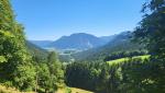 rechts abbiegend zur Steinbergalm, um danach eine Alpstrasse zu erreichen, sie wird uns nach Ruhpolding führen