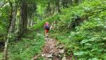 der Maximilianweg biegt nun in einen Waldweg ein, der uns über 700 Höhenmetern, hinauf zur Kohleralm führen wird