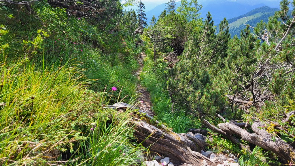 und durch die steile Südflanke des Hinterstaufenmassivs