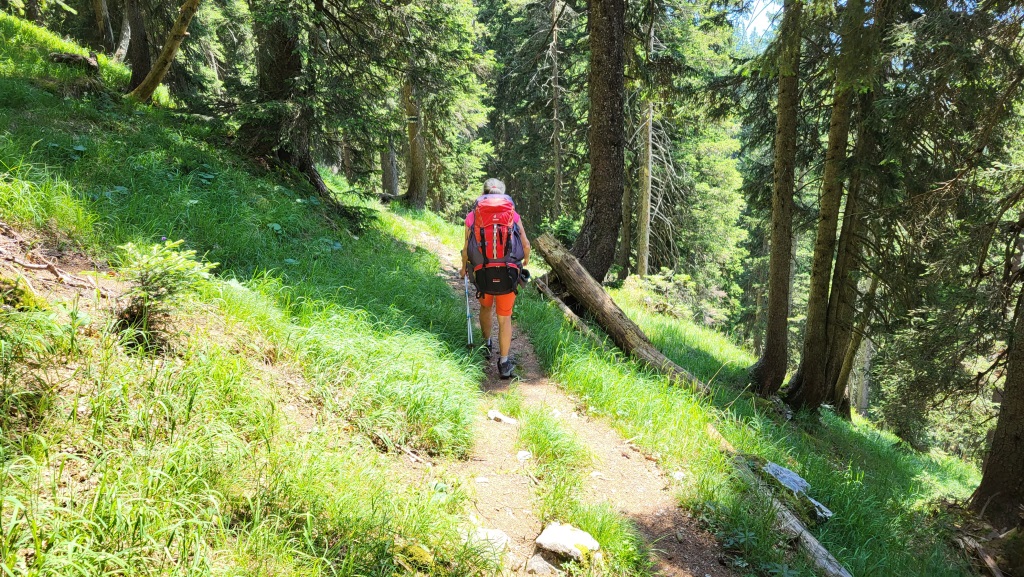 auch die heutige Etappe, teilt sich der Maximilian-Weg mit dem E4 und der Via Alpina