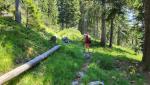 um die Südflanke des Hinterstaufenmassivs zu umgehen, führt der Bergweg nun einen Bogen durch