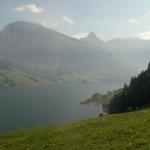 Wägitalersee mit Schiberg und Zindlenspitz