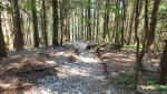 der Weg hinunter nach Bad Reichenhall ist nicht zu verfehlen. Über breite Waldwege...