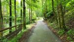 auf einem breiten Waldweg geht es zum Hallturm, wo früher Salz gelagert wurde