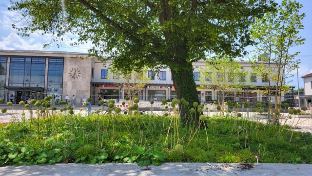 in Rosenheim angekommen...