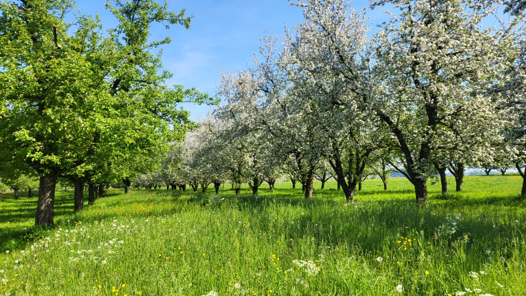 was für eine Augenweide