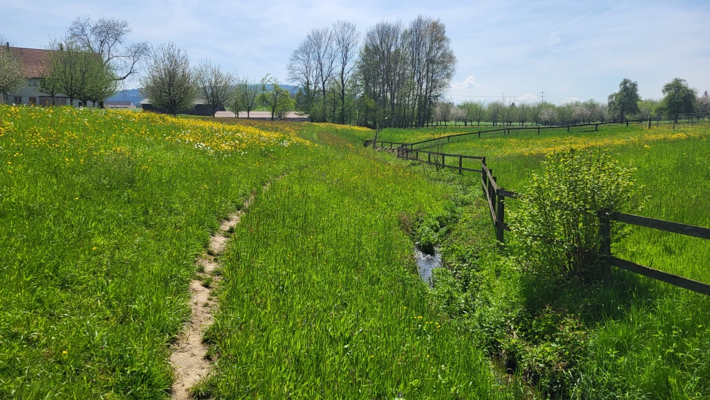 ...führt uns die heutige Wanderung...