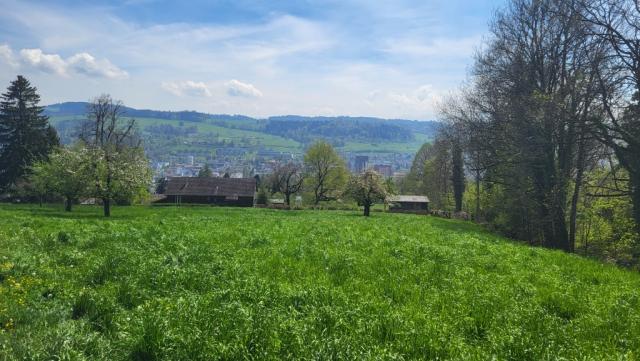 wir treten aus dem Bruggwald heraus, und vor uns taucht St.Gallen unser Tagesziel auf