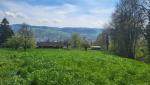 wir treten aus dem Bruggwald heraus, und vor uns taucht St.Gallen unser Tagesziel auf